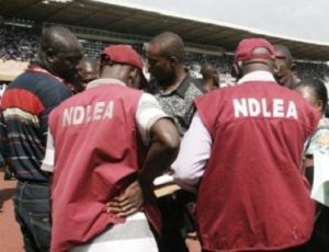 NDLEA
