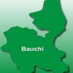 bauchi