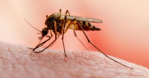 Cambodia reports 7,668 malaria cases in first 9 months