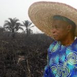 Chief Olu Falae