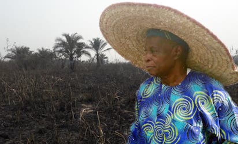 Chief Olu Falae