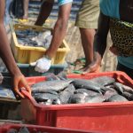 fish-farm-2