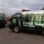 Enugu to employ 1,000 youths as traffic officers, forest guards