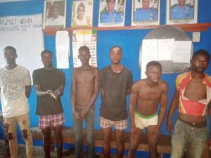 Ogun: Police nab four Ikorodu-based cultists, two others in Odogbolu