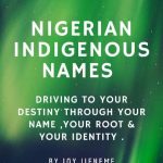 Mapping the identity paths of Nigerian native sons and daughters