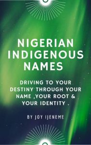 Mapping the identity paths of Nigerian native sons and daughters