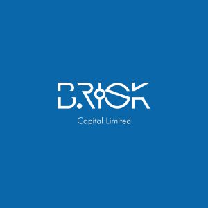 Brisk Logo (BW)