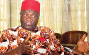 Chief Nnia Nwodo