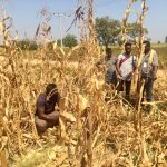 Food security: NIRSAL, trade ministry to tackle $12 billion post-harvest losses