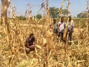 Food security: NIRSAL, trade ministry to tackle $12 billion post-harvest losses