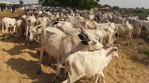 Kebbi State distributes livestock to 2,778 pastoralists