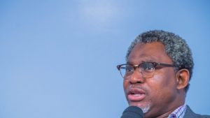 Minister of Mines and Steel Development Olamilekan Adegbite