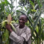 Nigerian-farmers