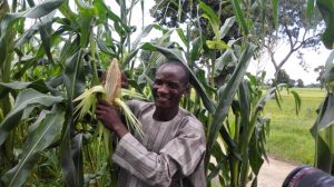 Nigerian-farmers