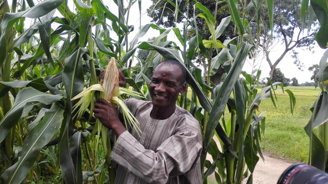 Nigerian-farmers