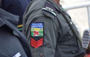 Police-4-2