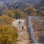 S. Africa moves to address congestions at border posts