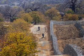 S. Africa moves to address congestions at border posts