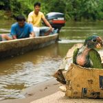 Wildlife-Trafficking-631