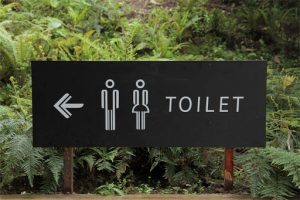 Open defecation: Kwara secures donation of 1,000 public toilets