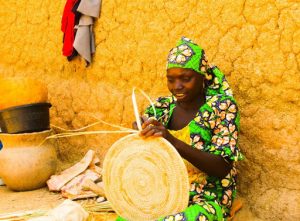 Financial Inclusion: Group flag-off advocacy, BVN enrollment in Gombe