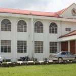 Subomi Balogun hands over N5 billion paediatric centre to UI, UCH