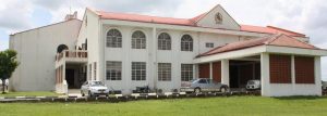 Subomi Balogun hands over N5 billion paediatric centre to UI, UCH
