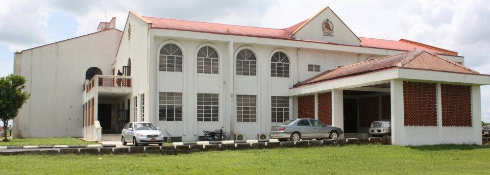 Subomi Balogun hands over N5 billion paediatric centre to UI, UCH