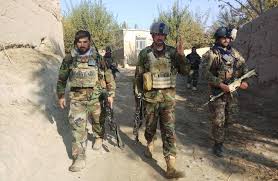Afghan security forces kill 8 Taliban militants