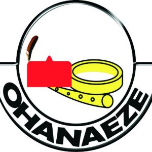 Imo Ohanaeze crisis: Ezechi Chukwu remains impeached – Ag President
