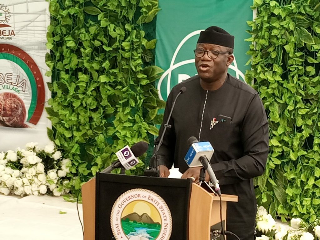 Ekiti Governor Kayode Fayemi