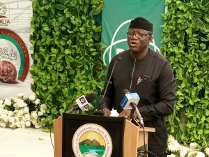 Ekiti Governor Kayode Fayemi