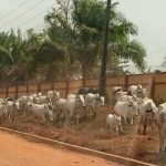 Security: No cause for alarm, Kwara govt assures public