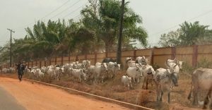 Security: No cause for alarm, Kwara govt assures public