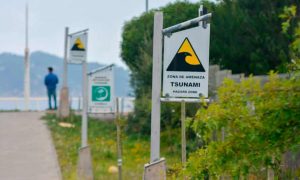 Chile regrets panic triggered by mistaken tsunami warning after quake