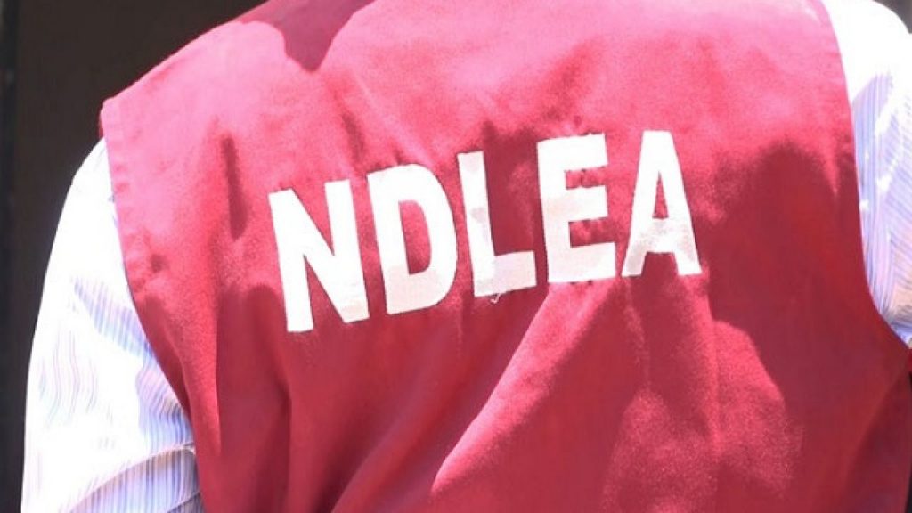 NDLEA arrests 262 suspected drug traffickers in Edo