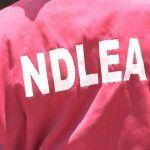 NDLEA arrests 262 suspected drug traffickers in Edo