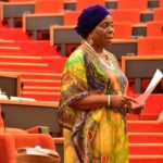 Senator Biodun Olujimi Fayose