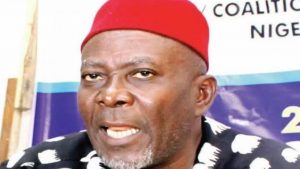Ohanaeze Secretary-General Uche Okwukwu