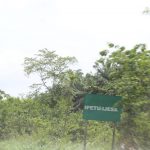 5 escape death in Osun road accident – FRSC