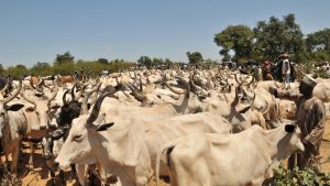 fulani-Herdsmen