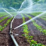 Olubadan, traditional worshippers want South-West governors to adopt irrigation farming