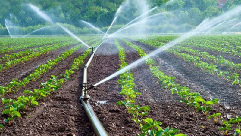 Olubadan, traditional worshippers want South-West governors to adopt irrigation farming
