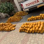 NDLEA intercept fake military officers with 234kg of cannabis