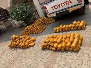 NDLEA intercept fake military officers with 234kg of cannabis