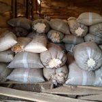 Sacks of cannabis discovered in a warehouse in a village by the NDLEA in Edo State