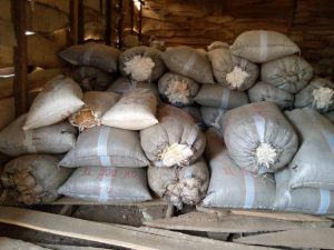 Sacks of cannabis discovered in a warehouse in a village by the NDLEA in Edo State
