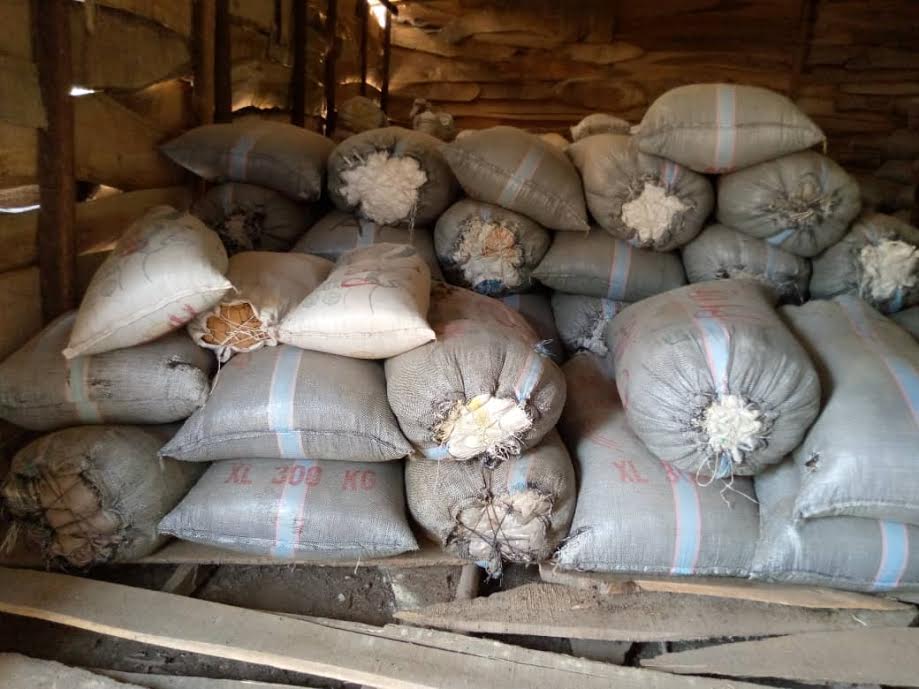 Sacks of cannabis discovered in a warehouse in a village by the NDLEA in Edo State