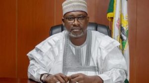 Minister of Water Resources, Mr Suleiman Adamu