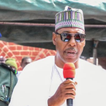 Borno Governor Babagana Zulum
